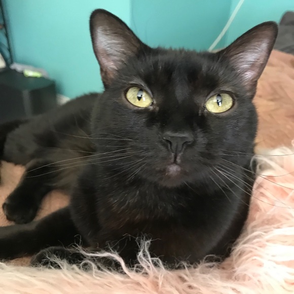 Meet your Posher, Richard - Picture 1 of 1